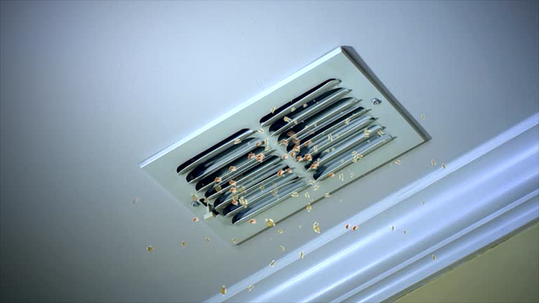 Best Affordable Air Duct Cleaning  in Somerset, MD